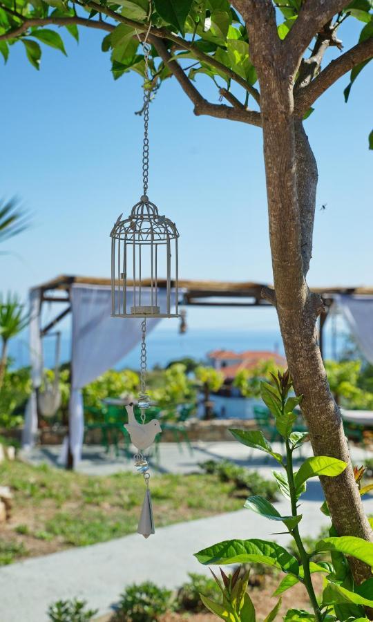 Orfeas House 2 * Патитири