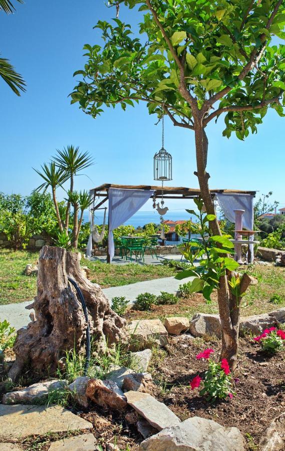 Orfeas House 2 Holiday home