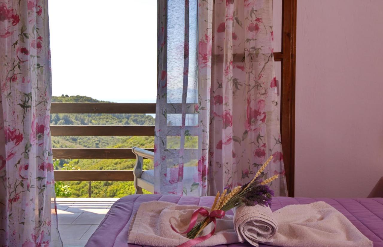 Orfeas House 2 * Патитири